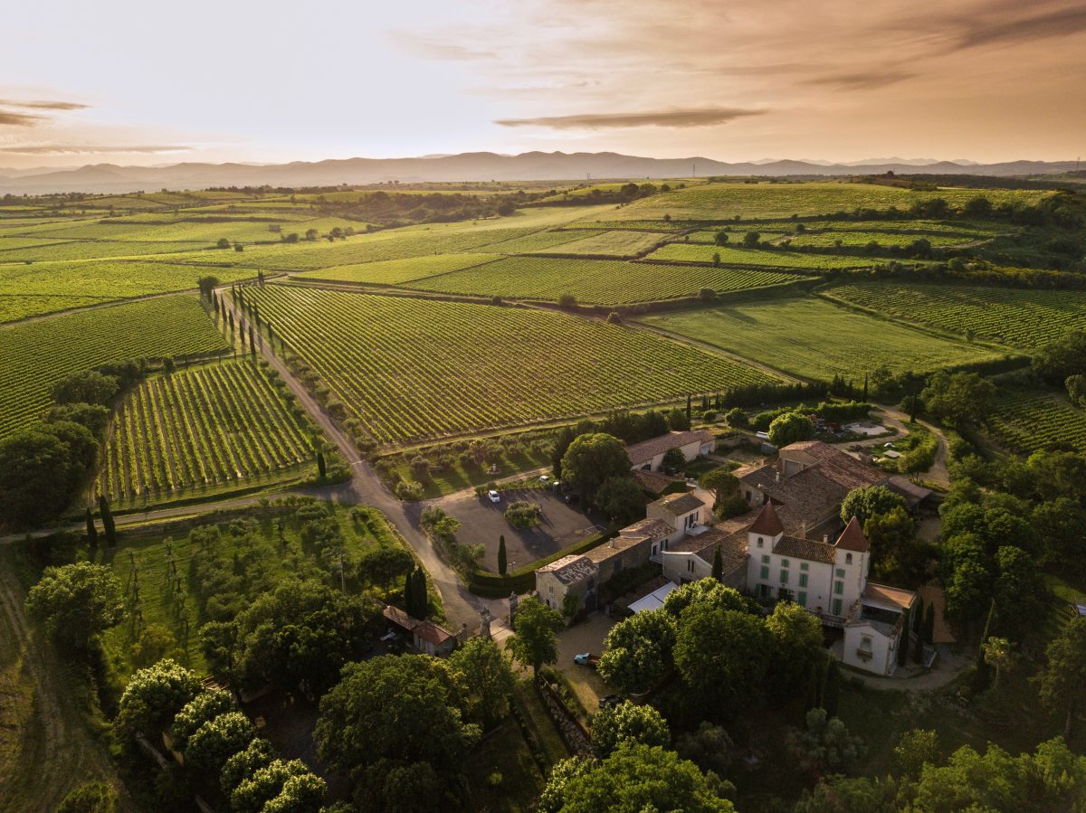 DOMAINE MOULIN DE LENE