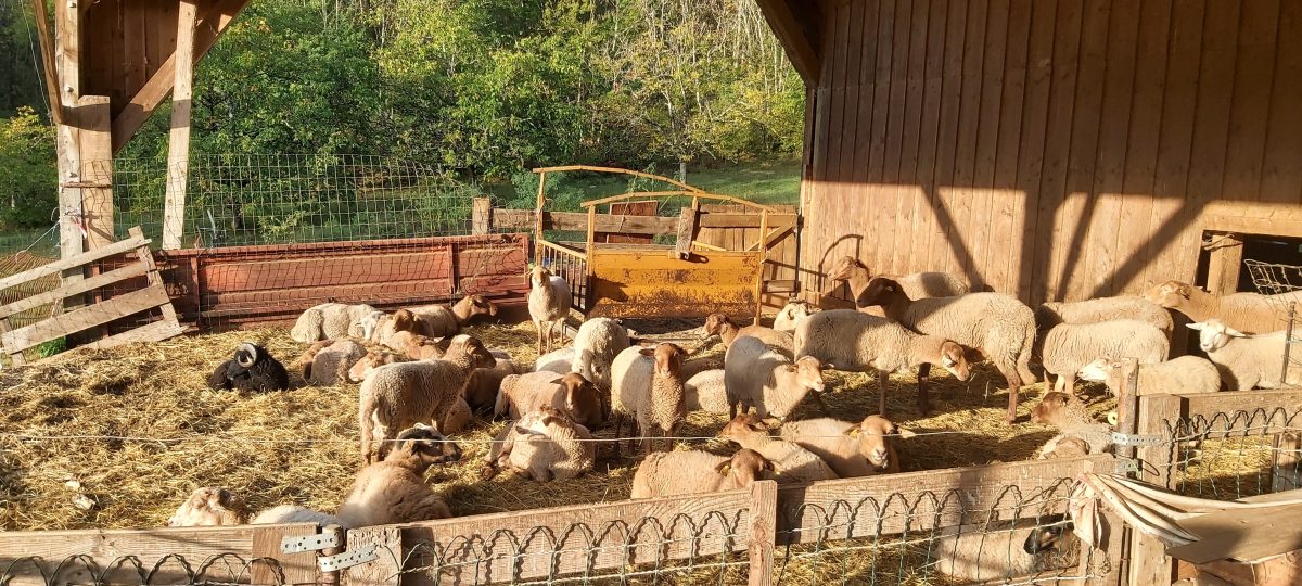 Ferme Pédagogique du Massarrat