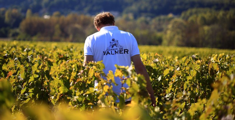 Château de Valmer
