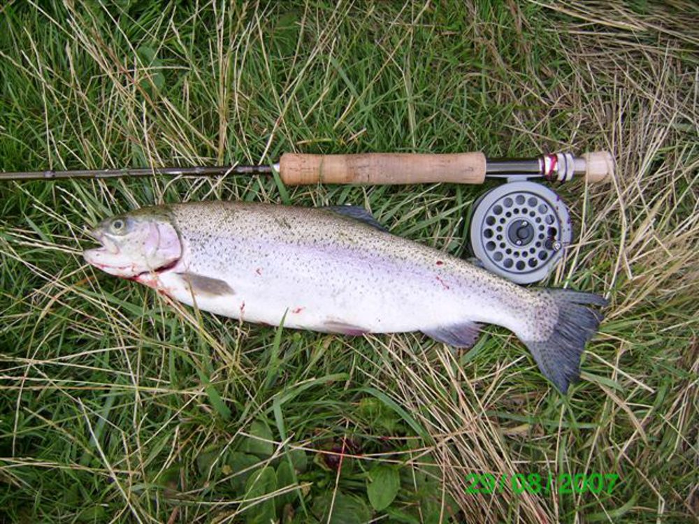 COUASNON THIERRY GUIDE DE PÊCHE
