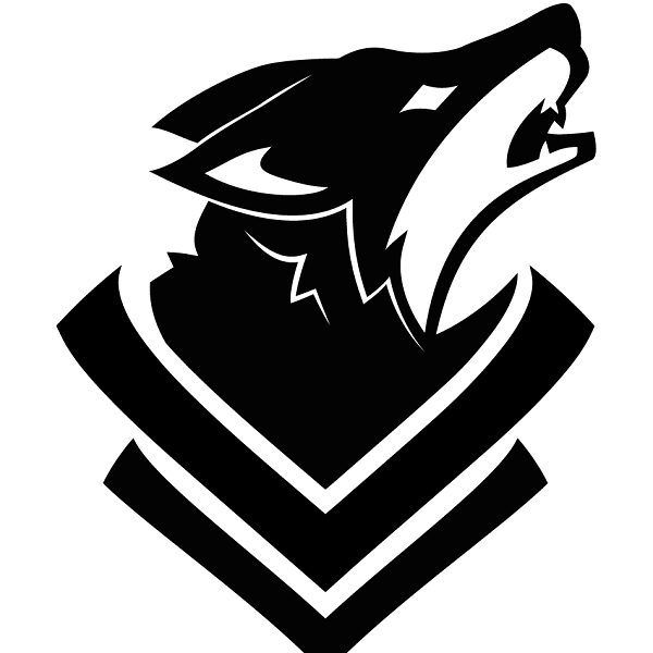 Lobo's Bootcamp