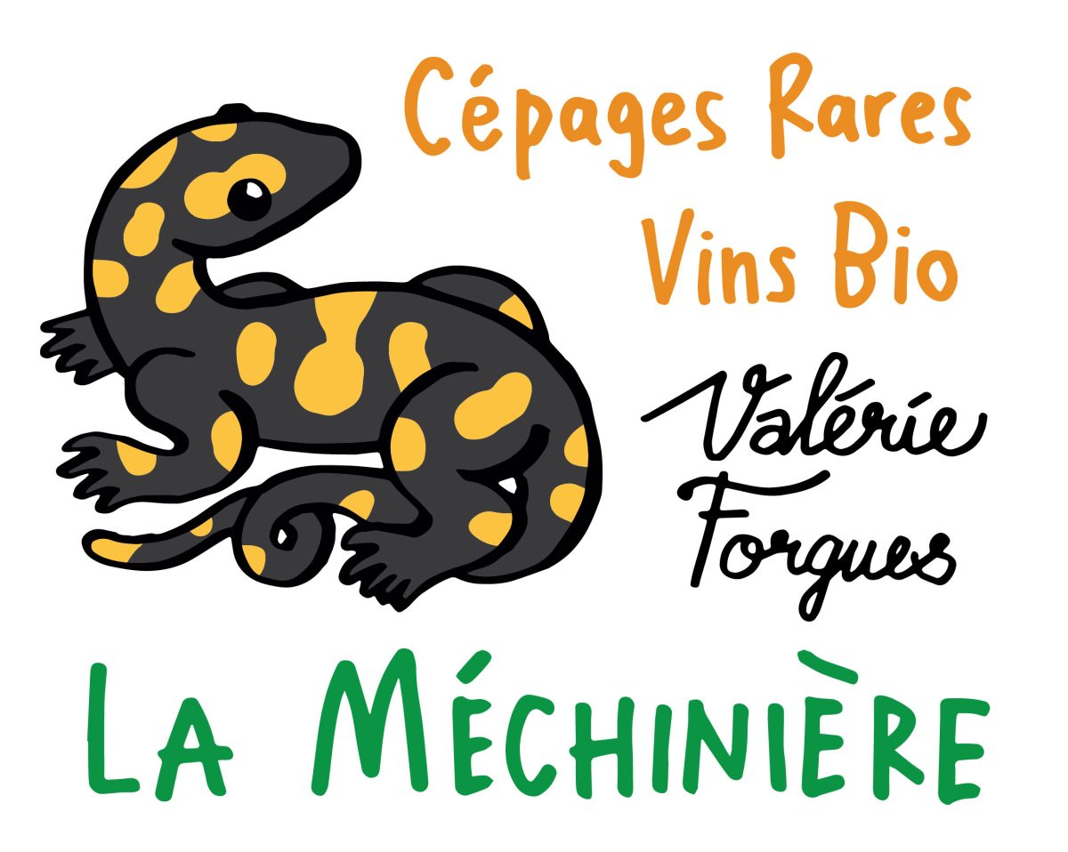 Domaine de la méchinière | Valérie Forgues