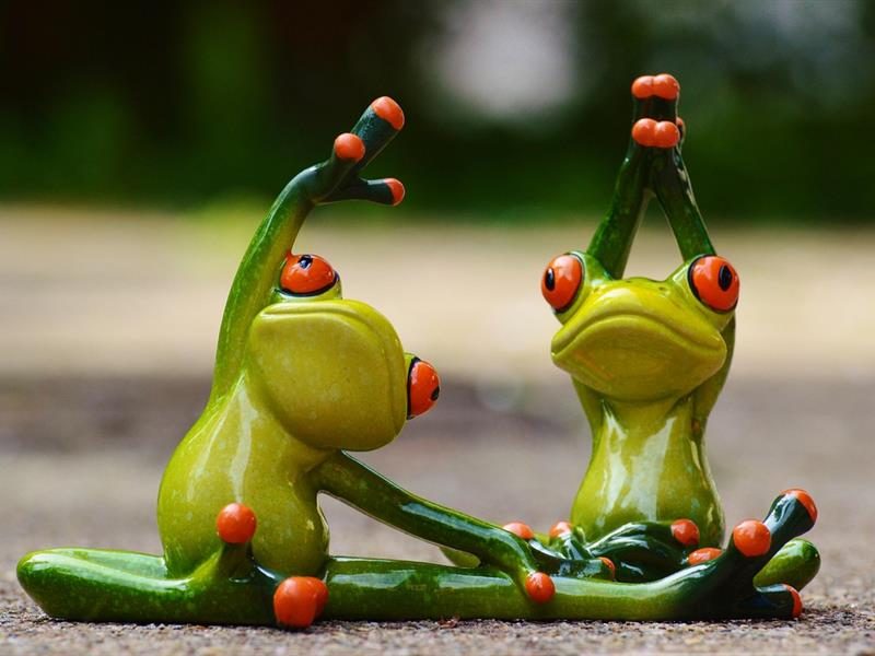 Animations sports vacances