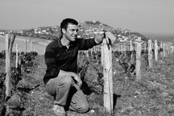 Domaine Sautereau