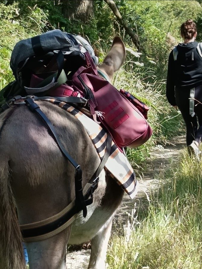 Les ânes de la Presqu'île > Balade de deux heures