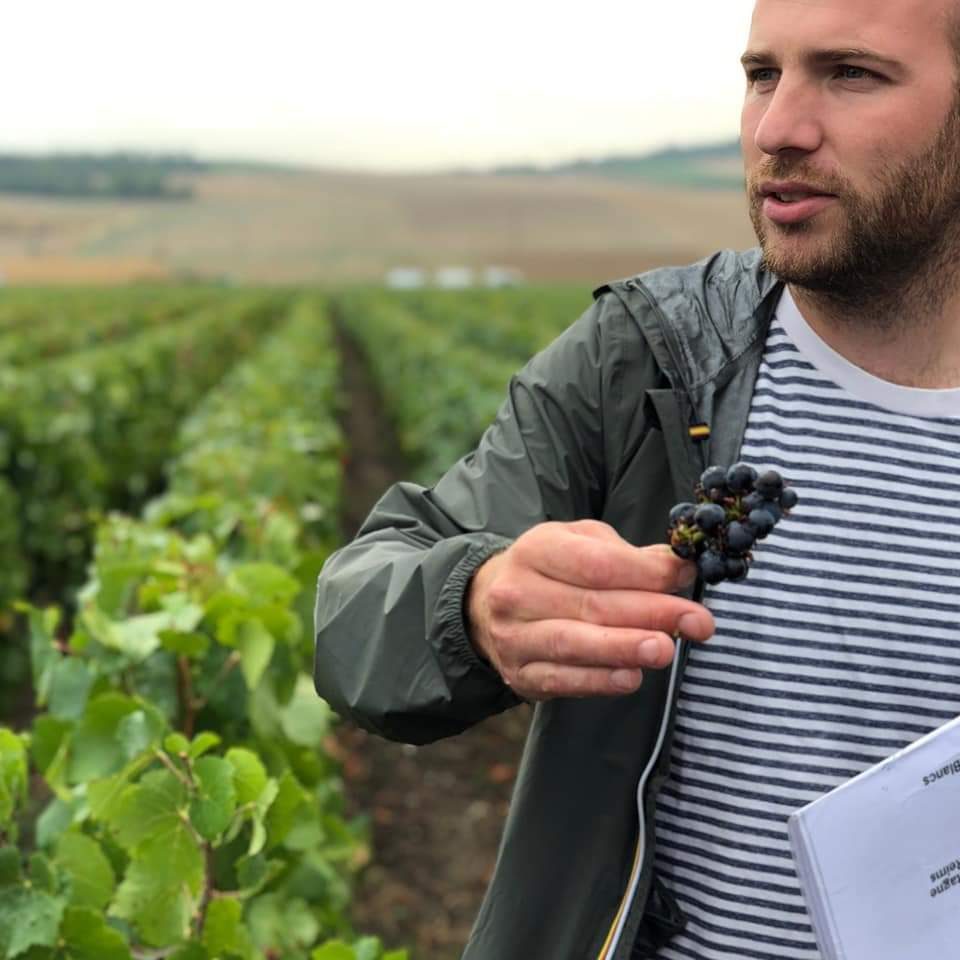 Sacré Wine Tour