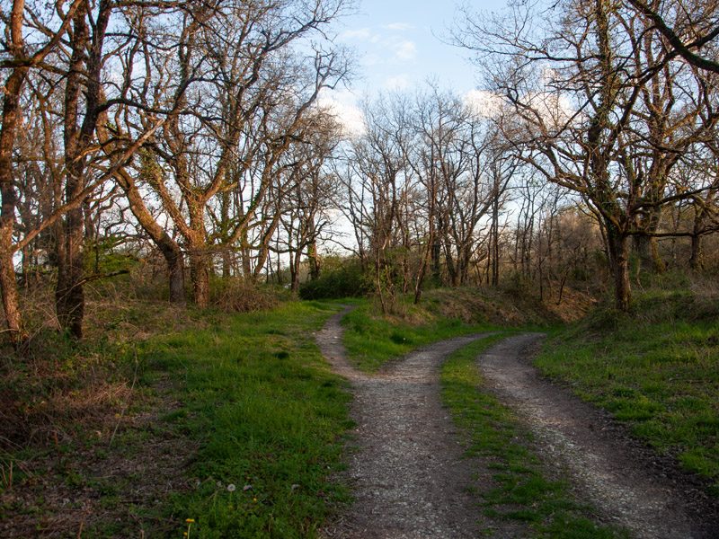 Balade au crépuscule