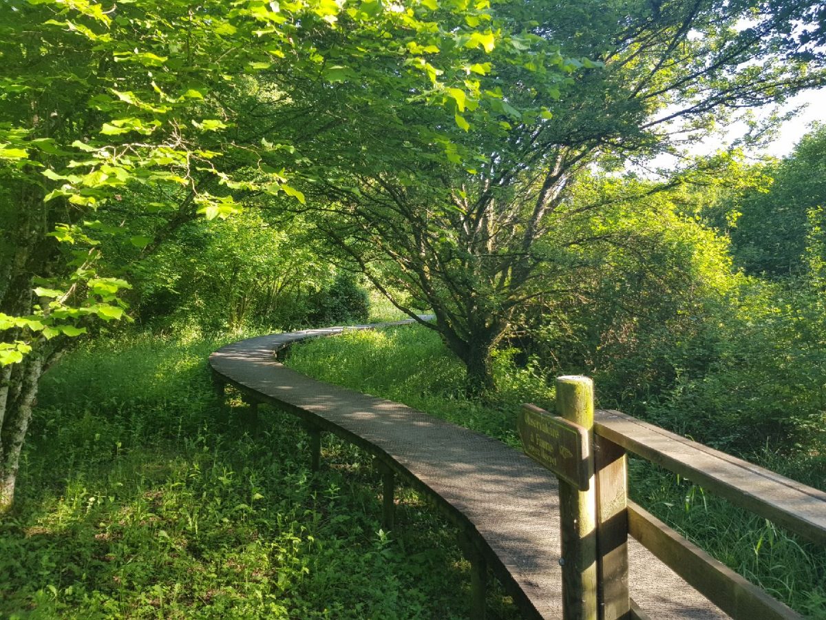 Les Jardins de La Clouère