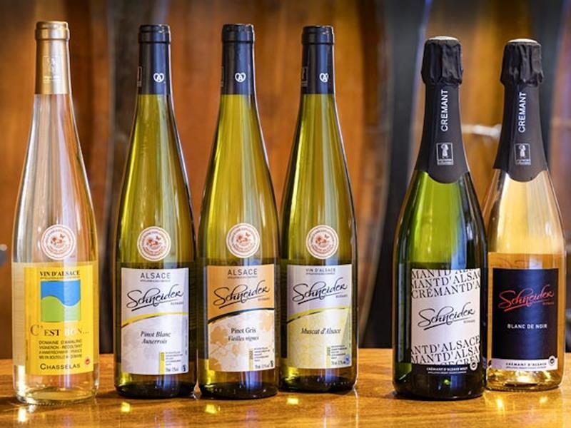 Domaine d'Amalric - Schneider Bernard