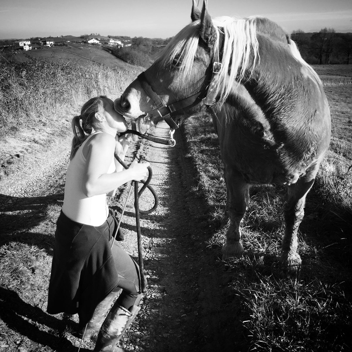 Equii Libre, elevage d'ARROSA