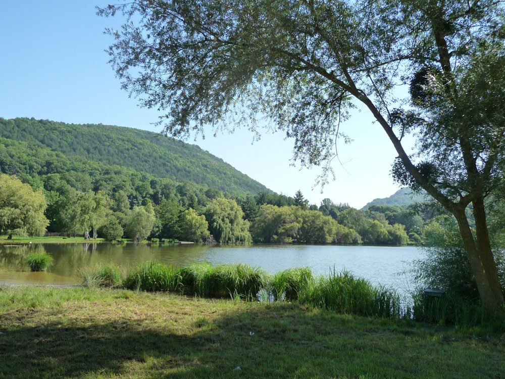 LAC DE BARBAZAN