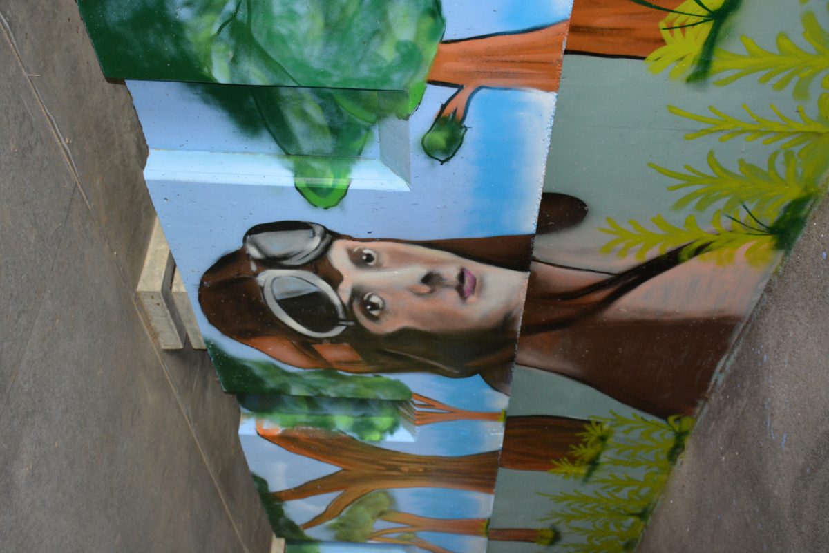 Fresque de Cédric Arfa sur le Canal d'Orléans (D2060)