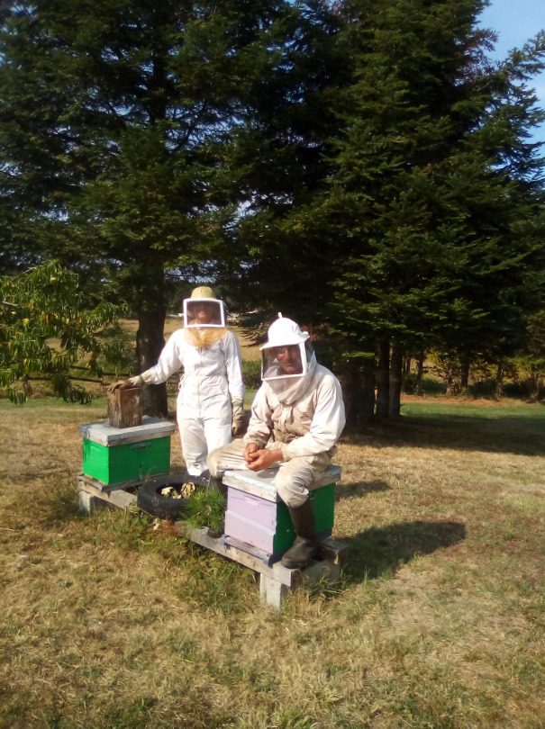 Apiculture Bobineau
