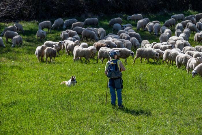 Exposition ParcourS - Partage des enjeux du pastoralisme avec éleveurs et acteurs du territoire