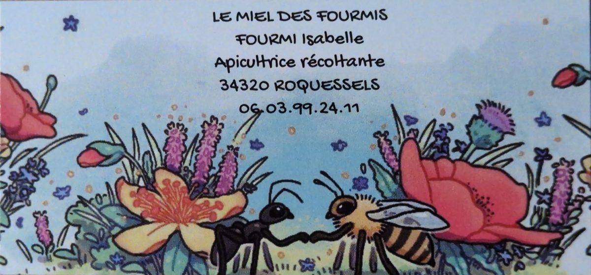 LE MIEL DES FOURMIS