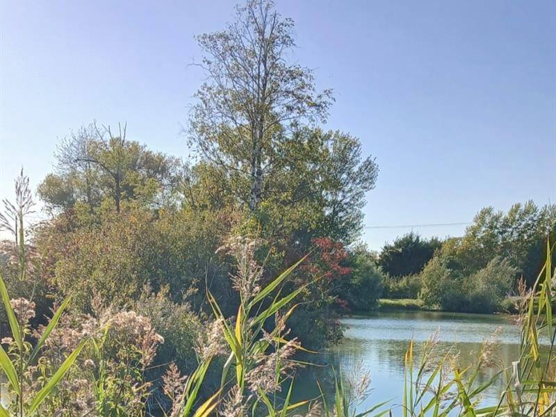 Etang de pêche de la Libellule