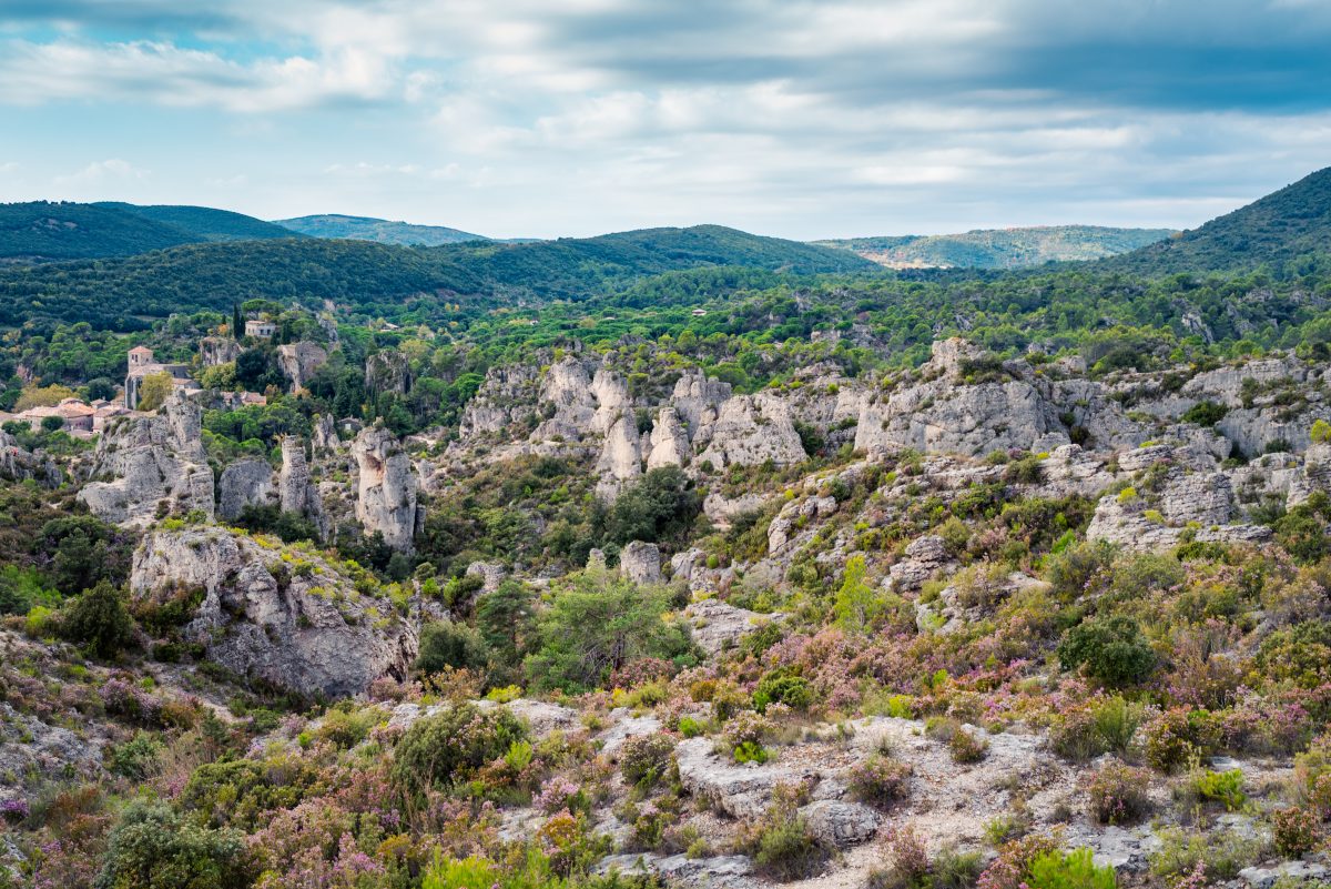 TOILES DES TERRES D’HÉRAULT