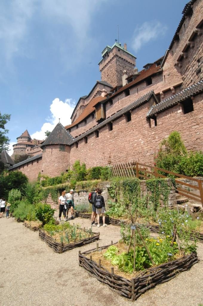 Jardin médiéval du Château du Haut-Koenigsbourg