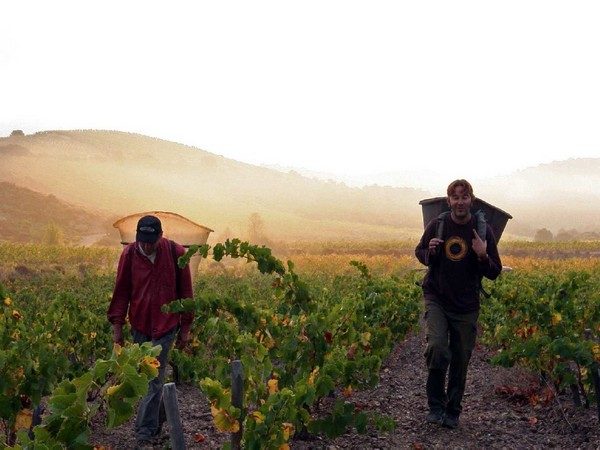 DOMAINE GRAND GUILHEM