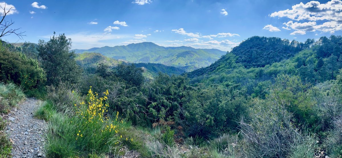 NATURALOHA : DÉCOUVERTE DES CÉVENNES À PIED