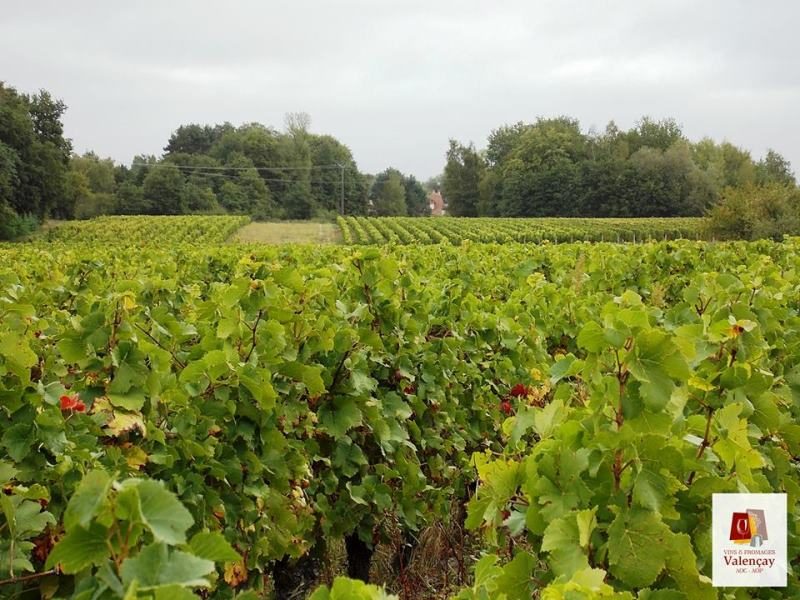 Domaine Malet Frères