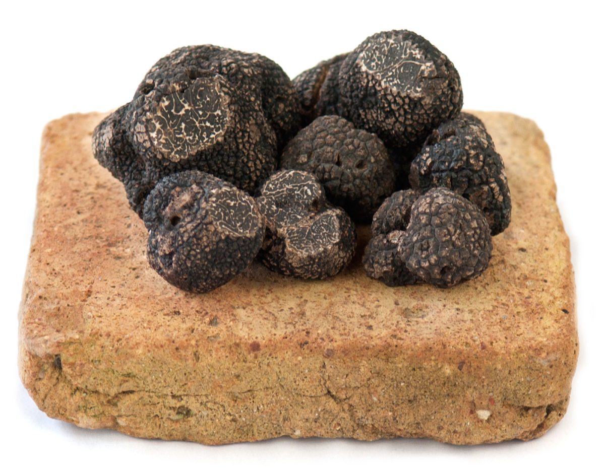 Truffes de Montcuq
