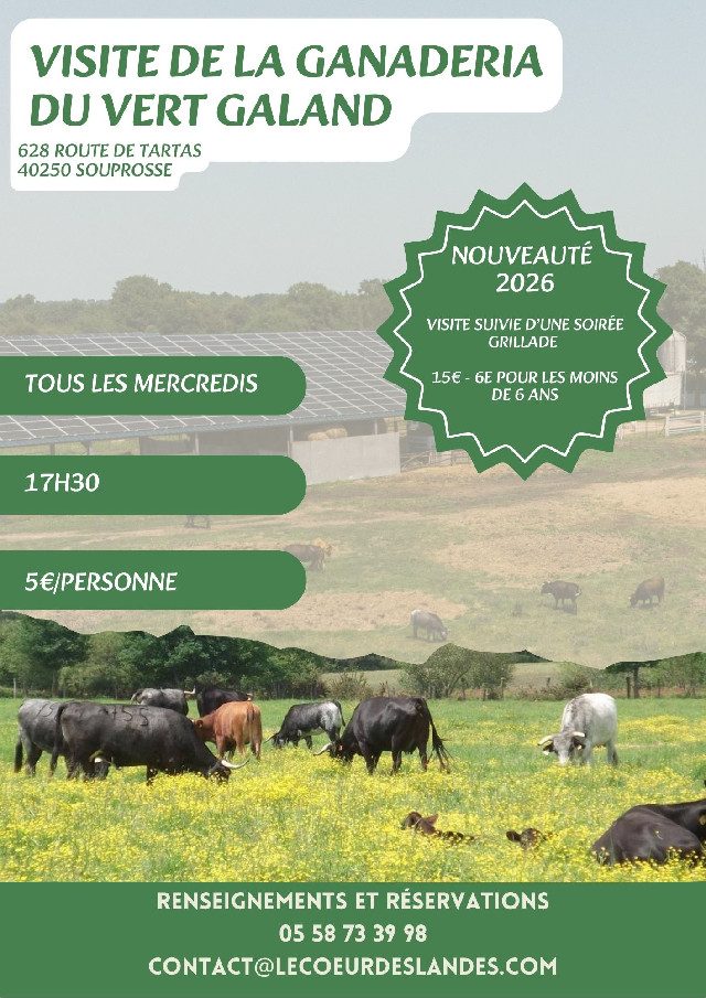 Visite de la Ganadéria du Vert Galant
