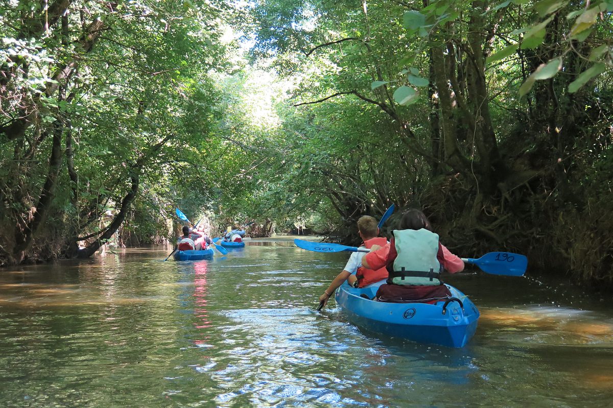 Les P'tits Bateaux Arboucave