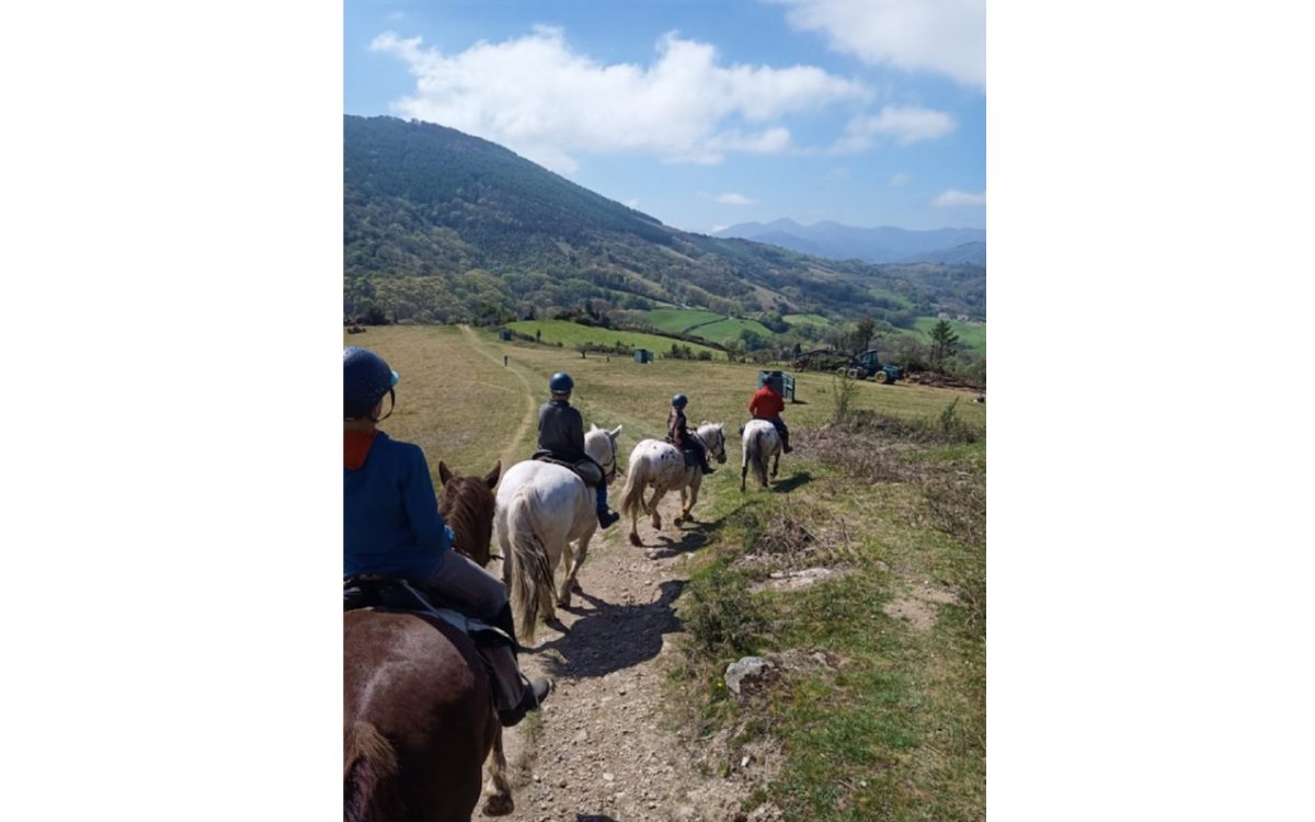 Les chevaux d'Iraty