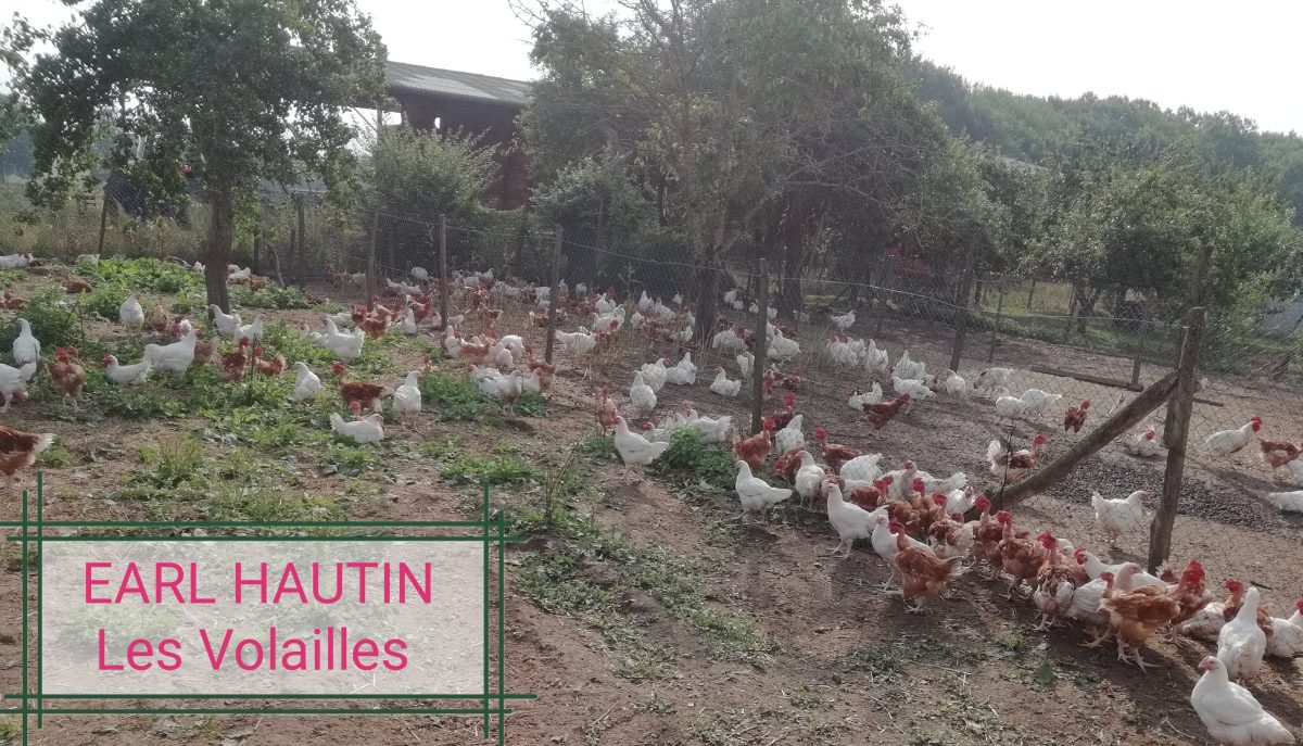 EARL Hautin