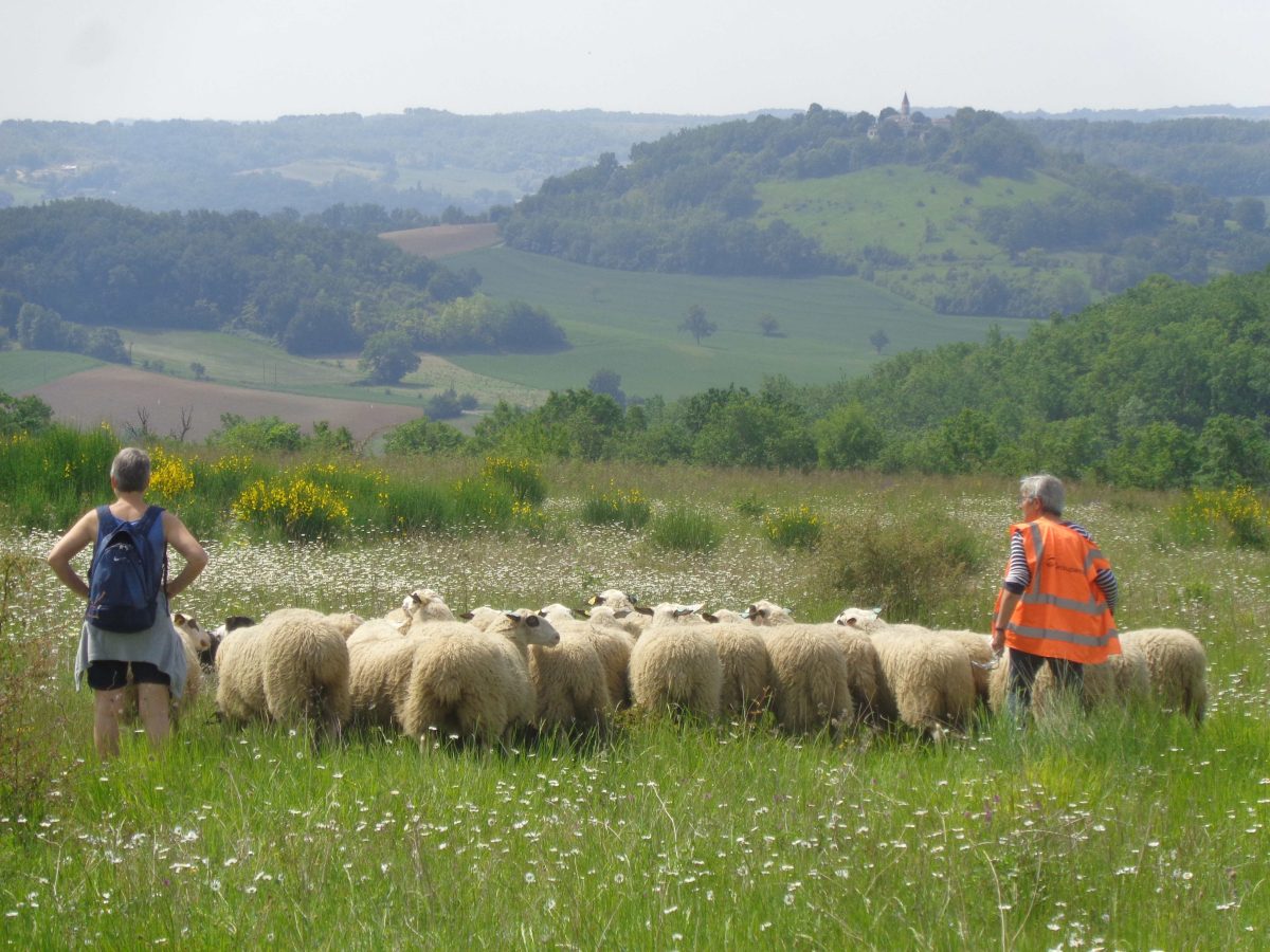 Ferme Lagarriguette