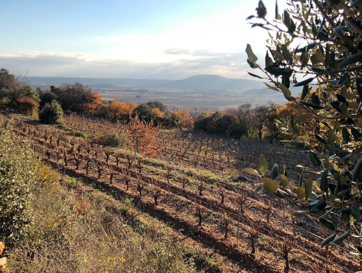 DOMAINE DE L'ASTER