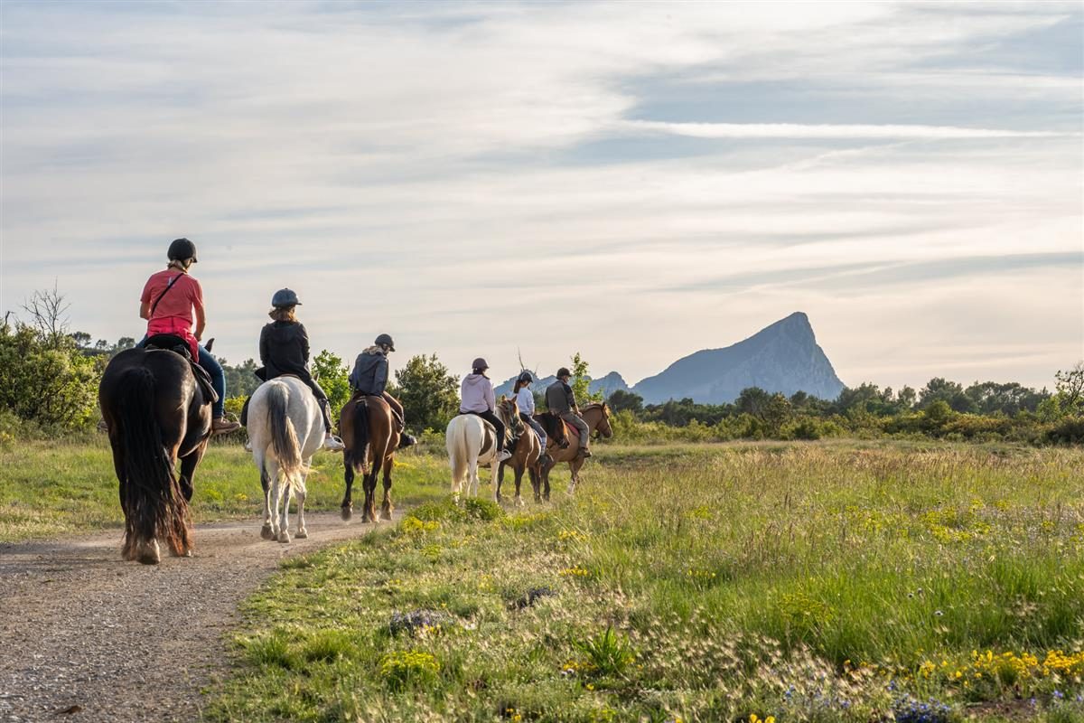 Horse aventure