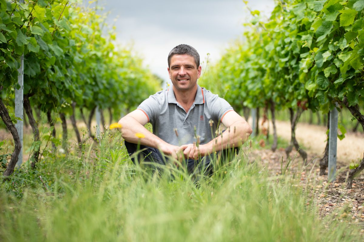 Domaine du Croc du Merle