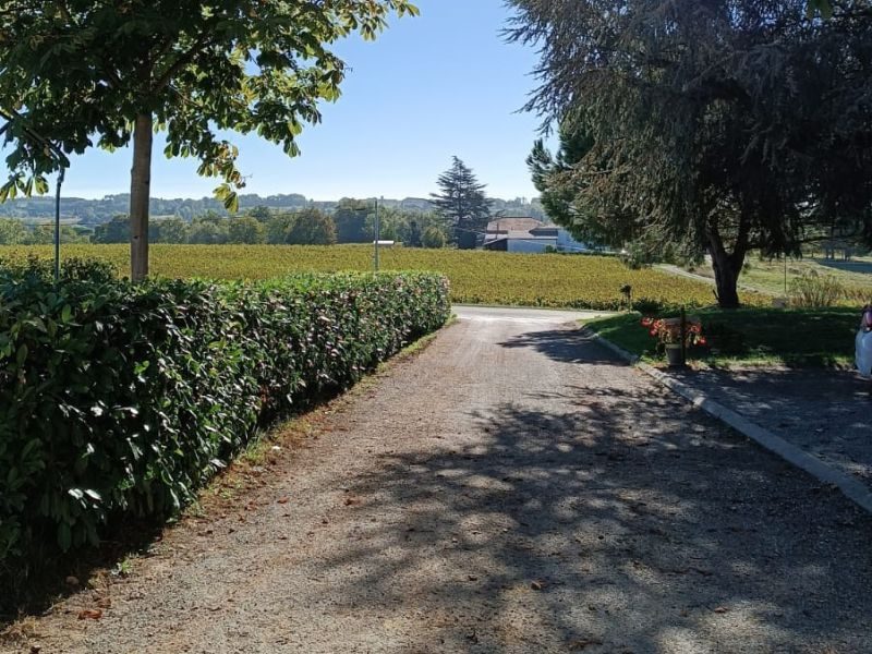 Château Haut-Pradot