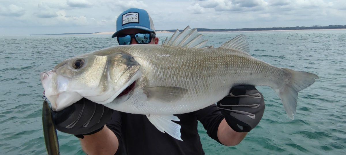 Aquitaine pêches sportives