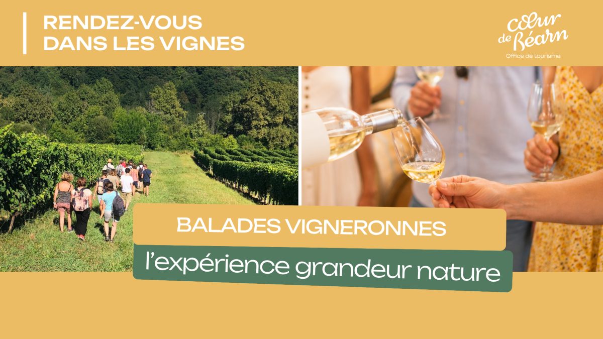 Balade vigneronne : Domaine Bordenave