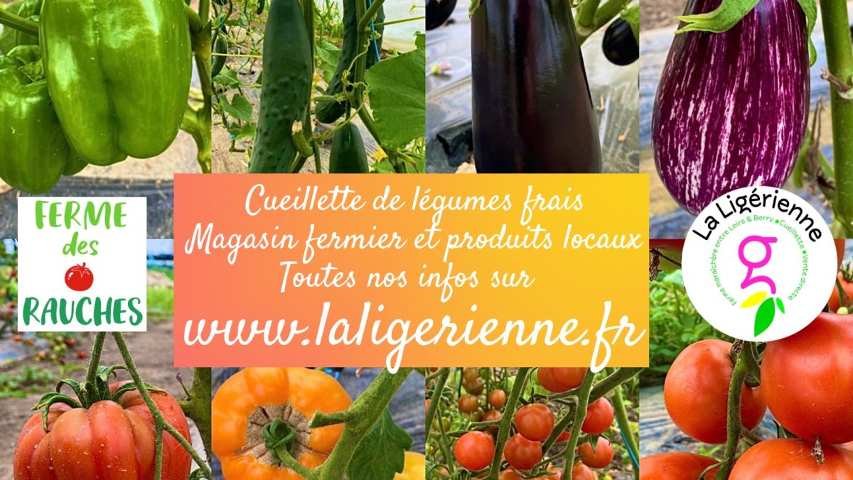La Ligérienne