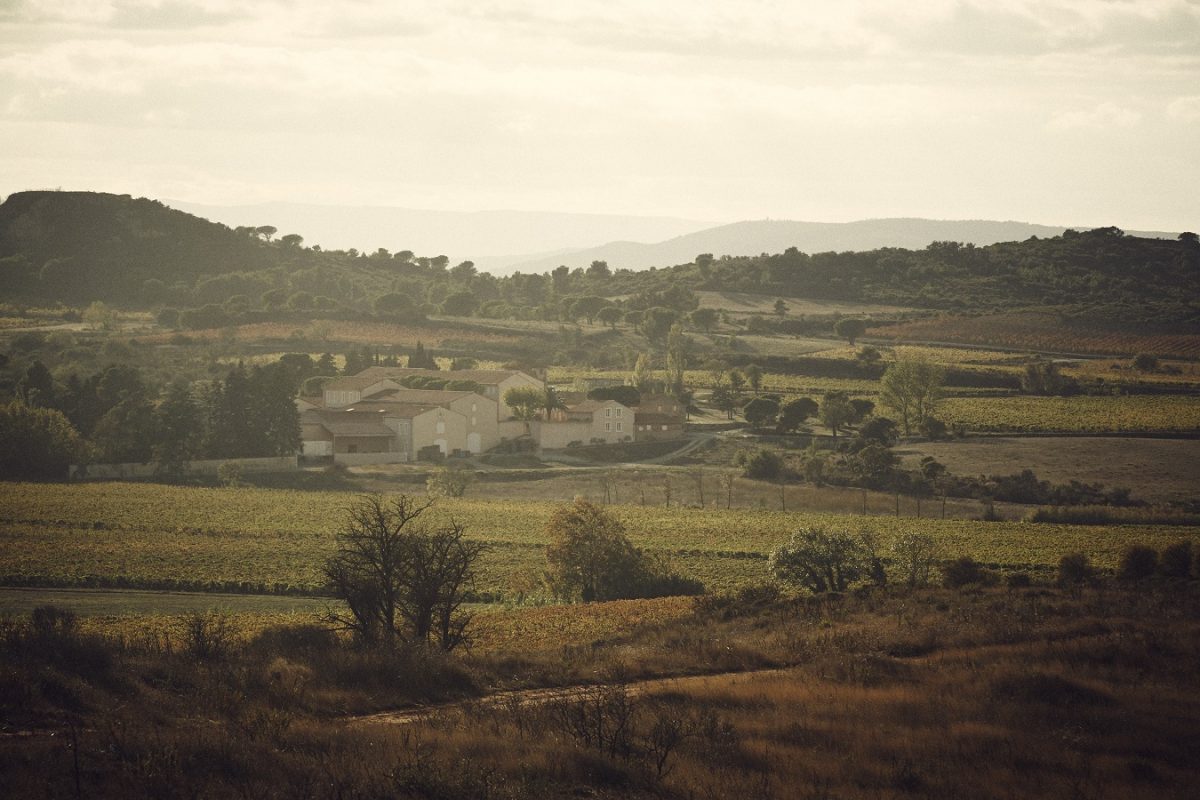DOMAINE D'AUSSIÈRES