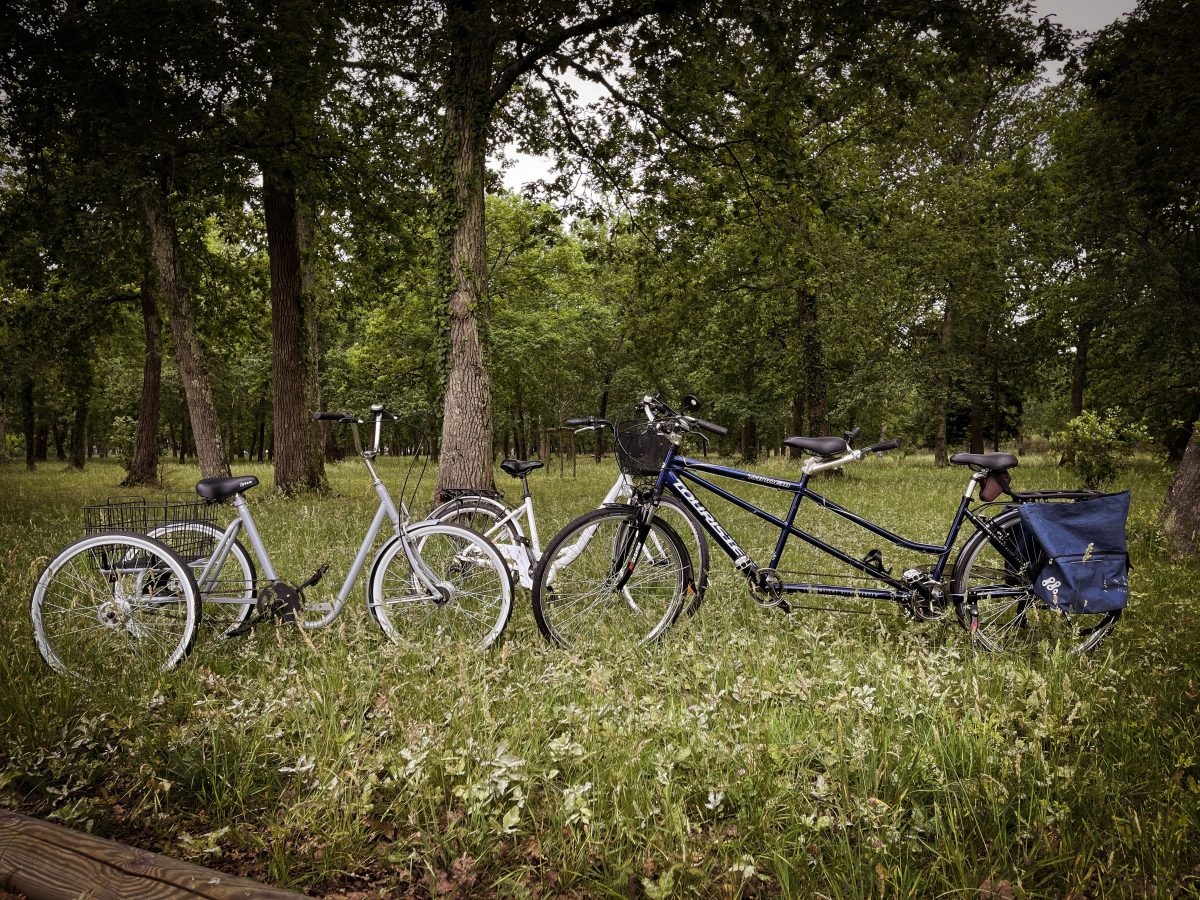 Bassin Loc Bikes