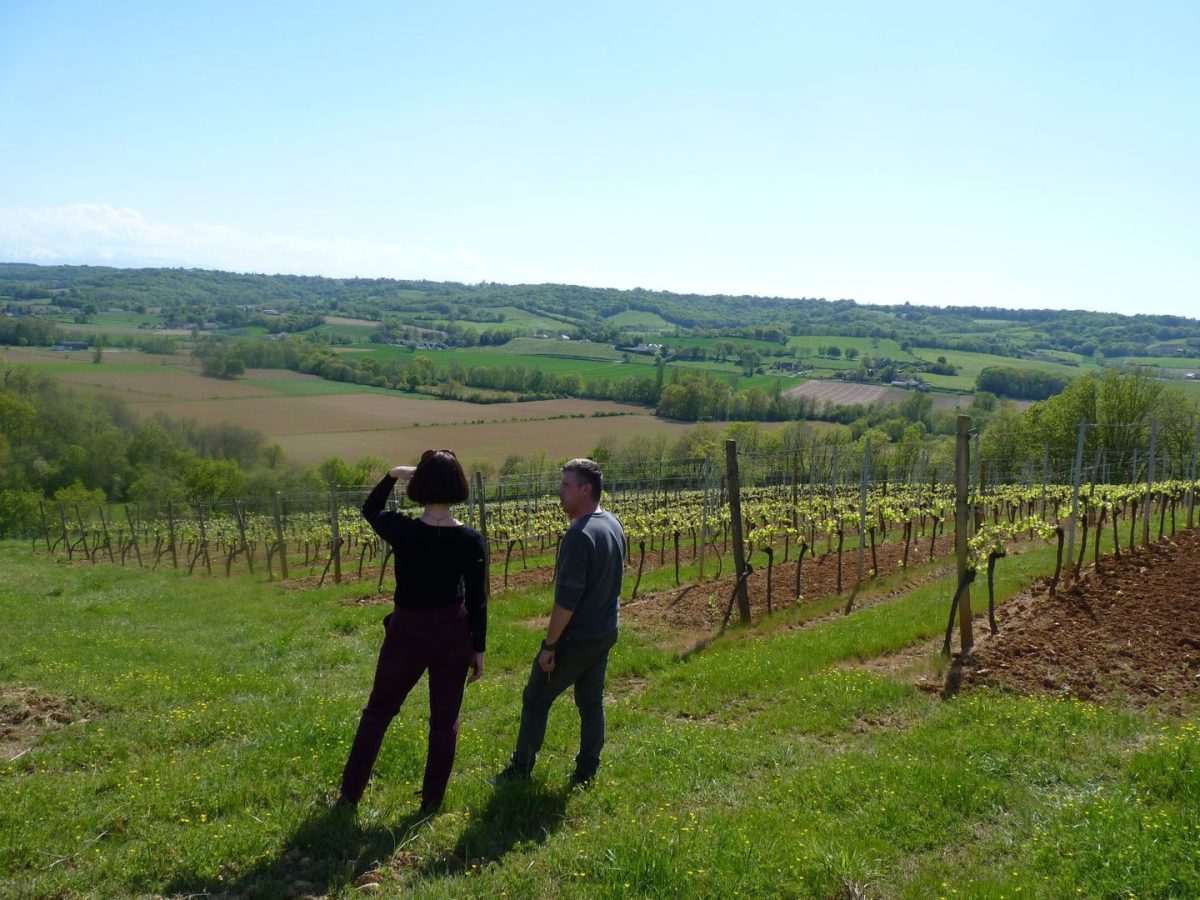 Domaine Mesté Bertrand