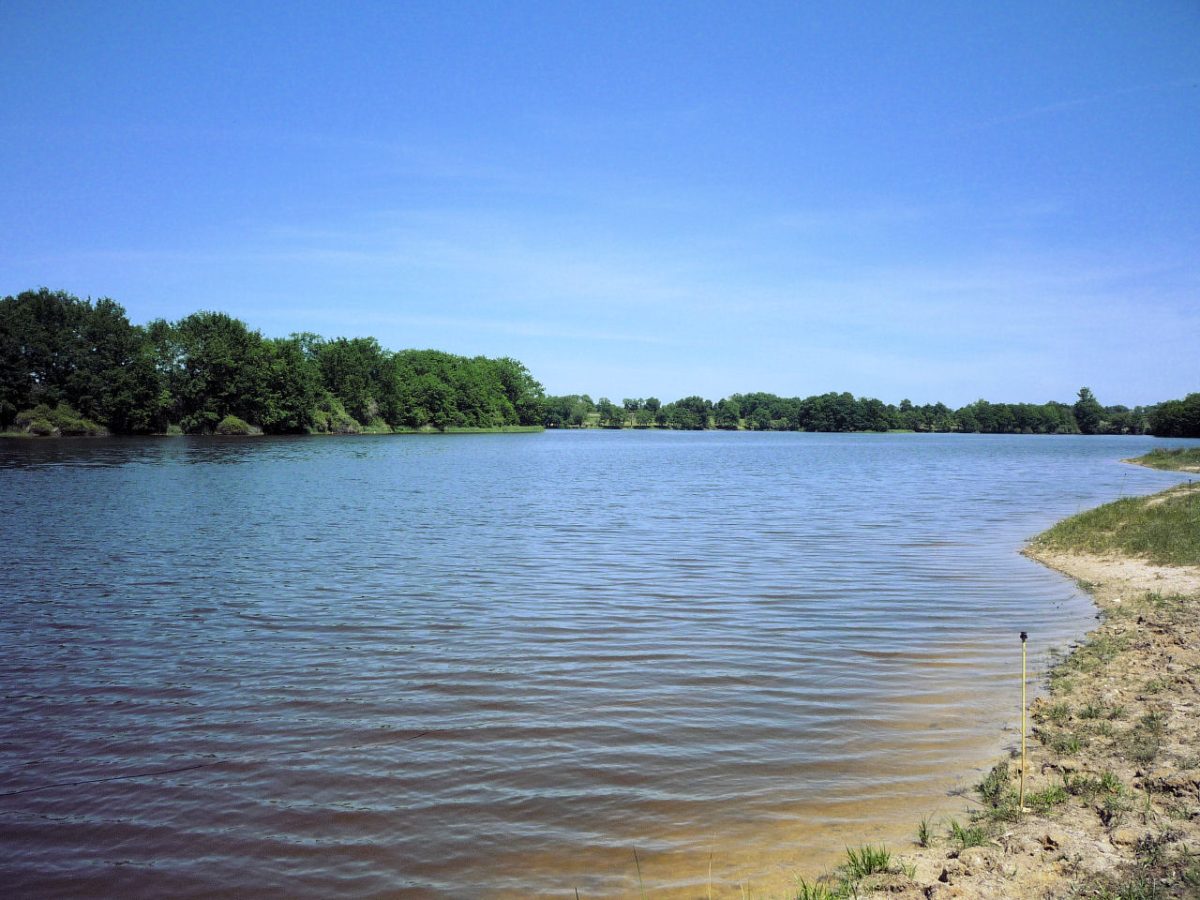 Etang de Pinaud