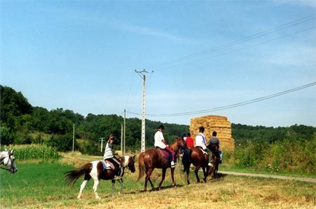 Ferme Equestre Crinière au Vent