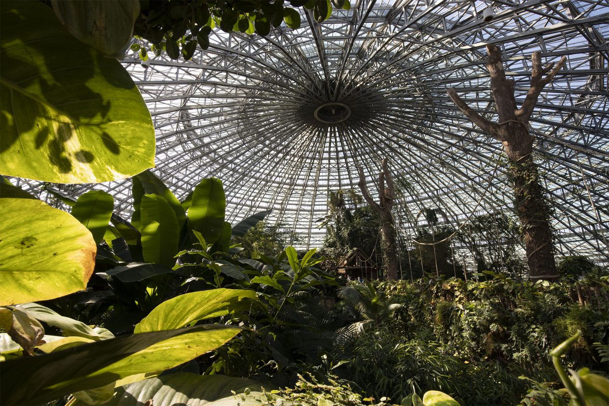 Atelier soigneur d'un jour junior au zooparc de beauval