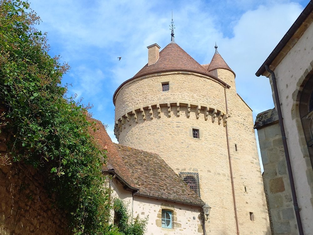 Tour de la Motte Forte