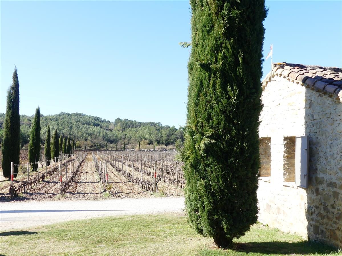 Domaine Haut-Lirou