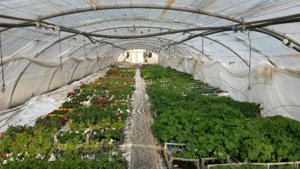 Ferme de la Brouaze