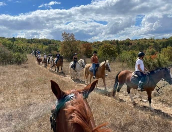Club hippique du Quercy