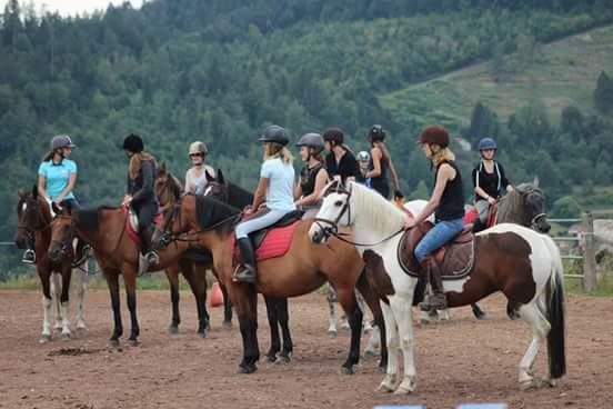 Centre hippique du Ballon d'Alsace - La Jumenterie