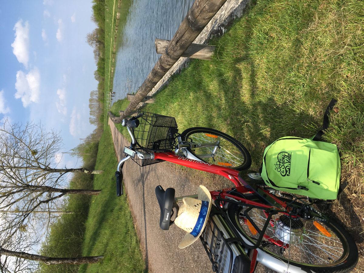 Location de vélos VAE et musculaires - Office de tourisme